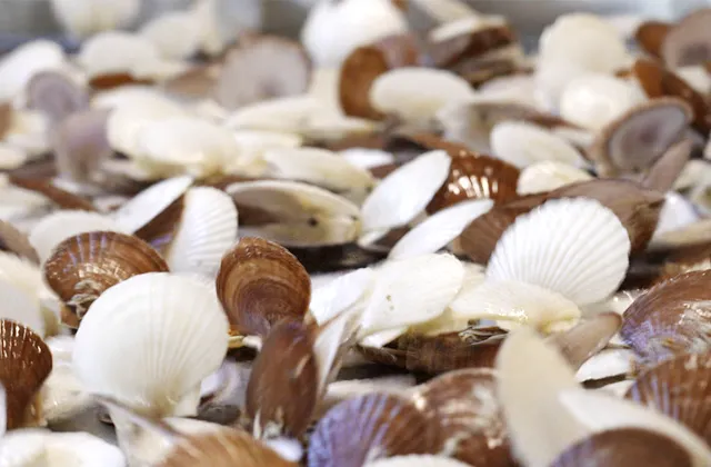 seisan_fukei02_w640_420